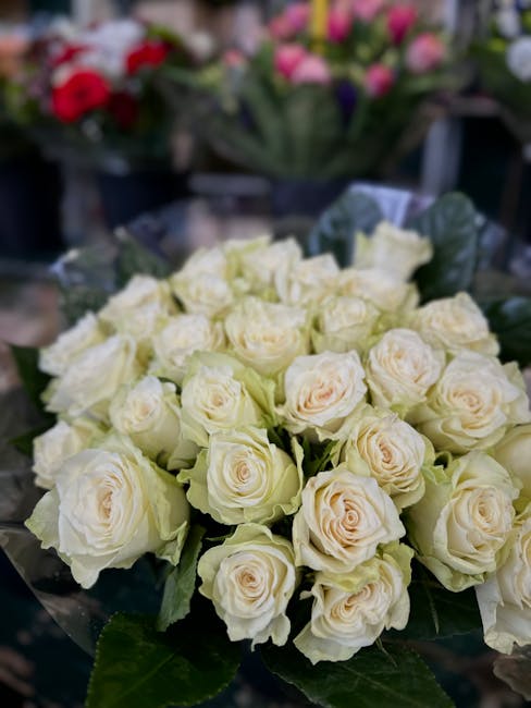 A bouquet of fresh, pale cream roses with soft, velvety petals and green leaves, arranged in a round cluster. The roses are tightly packed, displaying their full blooms and delicate texture. They are